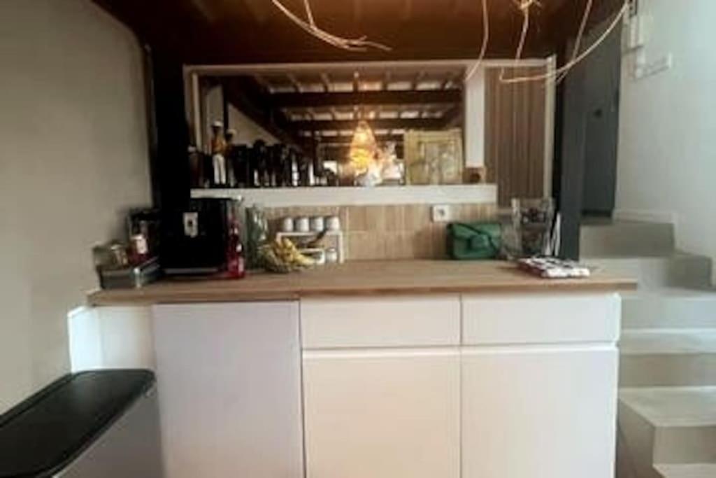 Loft Familial Avec Grand Jardin Verdoyant Holiday home Paris